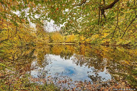 Gemeinde Tarsdorf Bezirk Braunau Huckinger See Herbst Innviertel (Dirschl Johann) Österreich BR